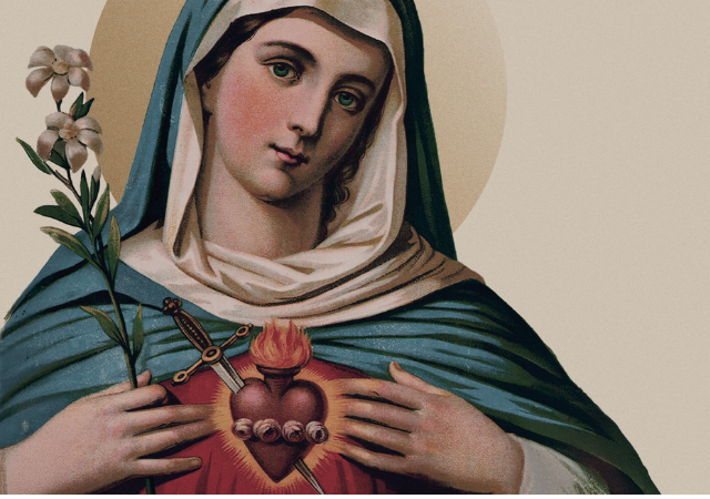 IHM Novena 2026