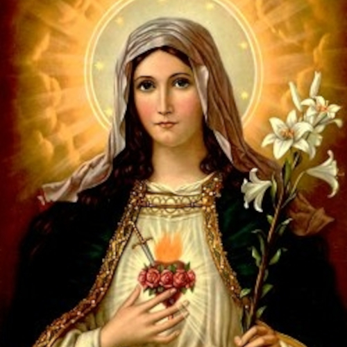 What is devotion to the Immaculate Heart of Mary?